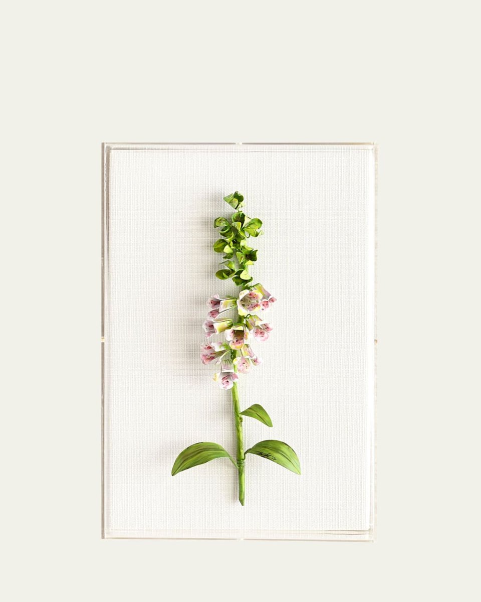 Original Painted Foxglove Study